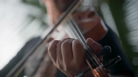 Close-up of the violinist, playing the violin, the concept of the music. Video stock 228732871