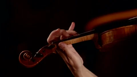 Close-up of a violinist's hand clamping strings while playing at a concert Video stock 221568456
