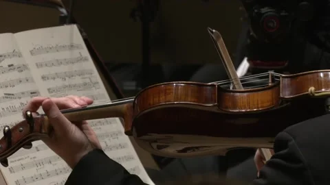 Close up on violist and violin Stock-Footage 238733413