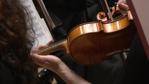 Close up on violist and violin Stock-Footage 238734397