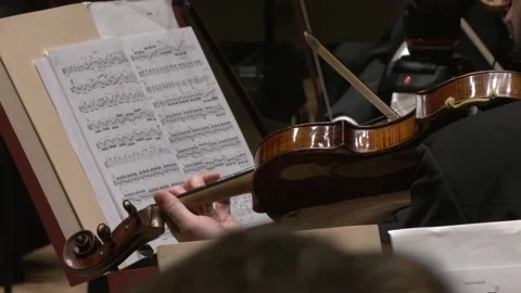 Close up on violist and violin Stock-Footage 238734445