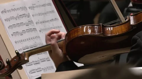 Close up on violist and violin Stock-Footage 238734475