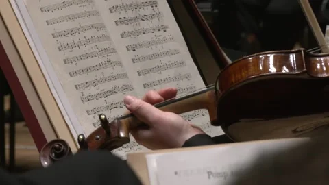 Close up on violist and violin Stock-Footage 238734512