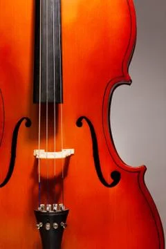 Close-up violoncello in vertical position Stock Photos