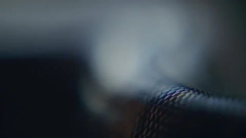 Close up of viper snake skin, crawling Stock Footage 321690913
