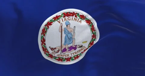 Close-up of Virginia state flag waving in the wind Stock-Footage 252654373