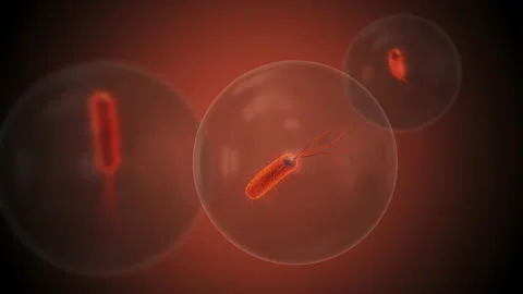 Close-up of virus cells or bacteria on medical background Stock Footage 183316312