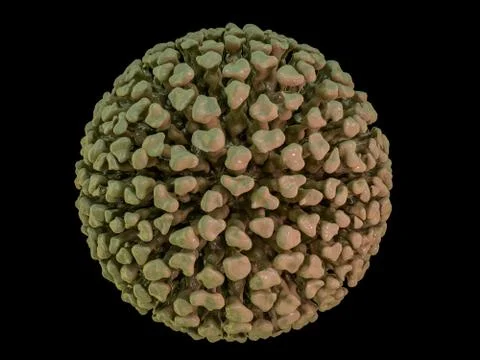 Close-up of virus or bacteria cells. 3D Illustrazione stock