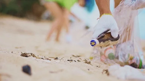 Close up of volunteer hands uses garbage bags collecting plastic waste on beach Stock Footage 119487098
