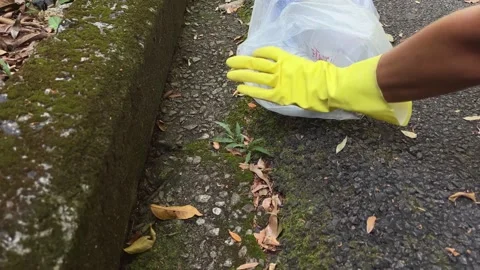 Close-up of a volunteer's hands picking up a plastic bottle in the middle o.. Stock Footage 236655474