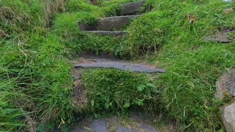 Close up of a walk up grassy stone steps in scotland Stock Footage 252162156
