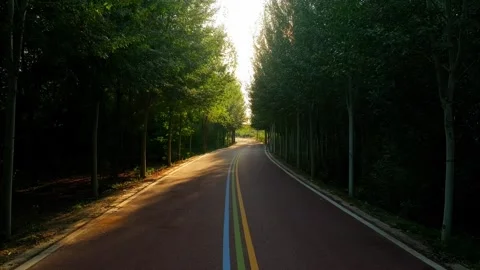 Close-up of a walk through the park's trail 動画素材 259282200