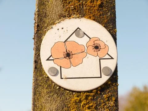 Close up of walking sign post arrow with red poppies Stock Photos