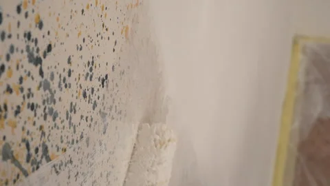 A close-up of a wall being painted white with a roller. Apartment painting,.. Stock Footage 337450282
