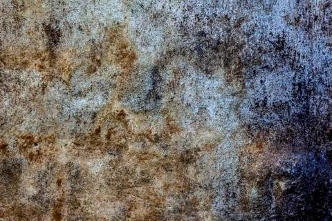 Close up of wall full of brown colored dried algae on it used as food also an Stock Photos