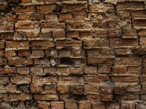 Close up of WALL Pattern background Фото