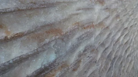 Close-up of a wall of salt Stock Footage 166578073