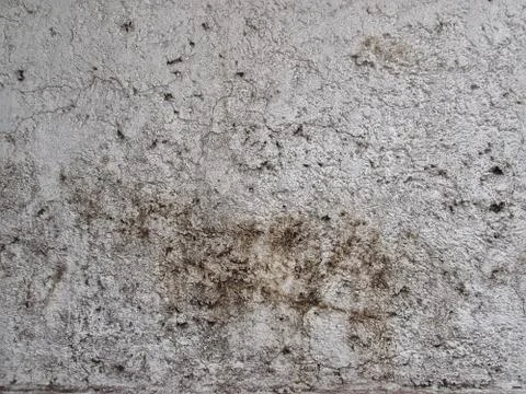 Close-up of Wall Texture Stock Photos