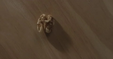 Close-up of a walnut Stock Footage 146441838