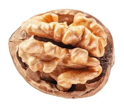 Close-up of walnut in shell with kernel inside Fotos Stock