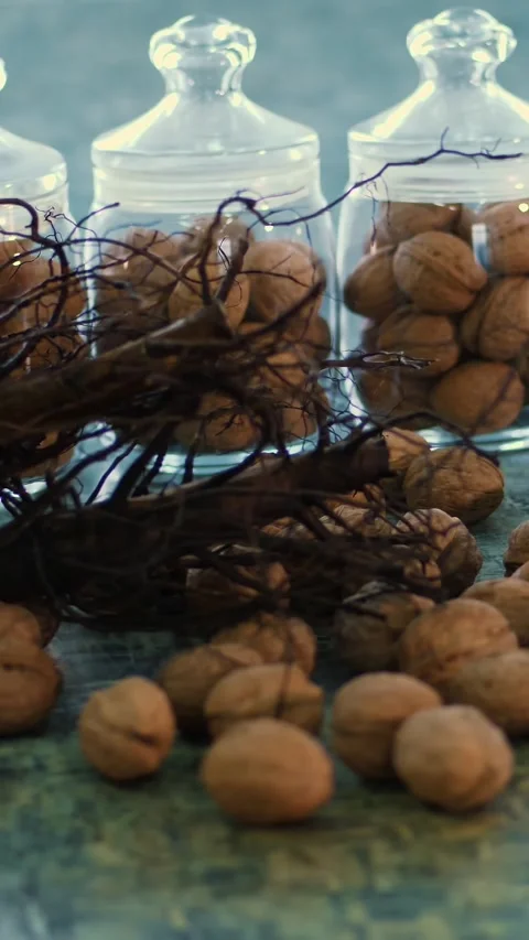 Close-up, walnut stock, walnut seedlings with root system. stored in glass jars Video stock 320345747