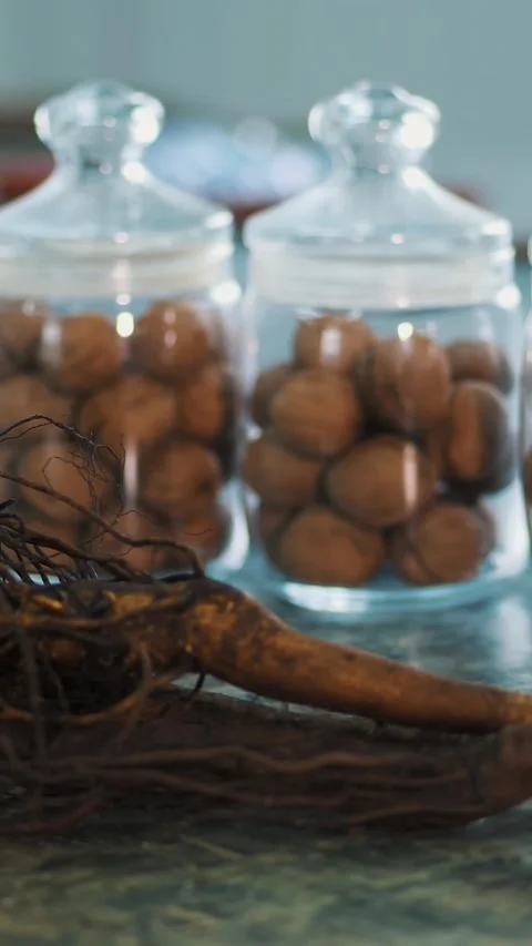 Close-up, walnut stock, walnut seedlings with root system. stored in glass jars Stock Footage 322978829