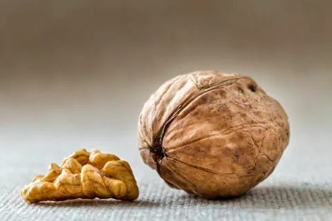 Close-up of walnut in wooden shell and kernels isolated on light copy space b 写真素材