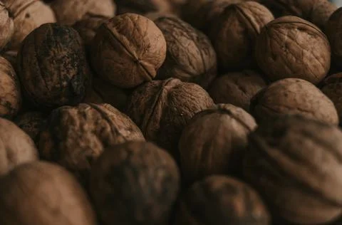 Close-up of walnuts. Daylight, soft light. Stock Photos