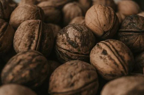 Close-up of walnuts. Daylight, soft light. Foto stock
