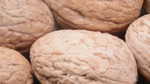 Close-up walnuts. A dense shell. 4K video. Super macro. Video stock 140813588