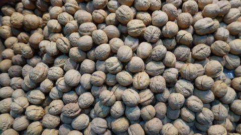 Close-up walnuts highlight rough shells earthy tones Stock Photos