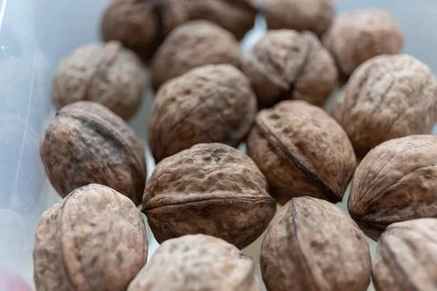 Close up of walnuts on a kitchen table in a container Photos