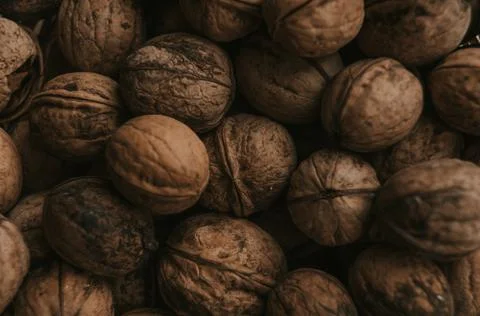 Close-up of walnuts. Stock Photos