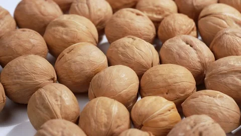 Close-up of walnuts, rotating, studio shot, Genthin, Saxony Anhalt, Germany Stock Footage 334012126