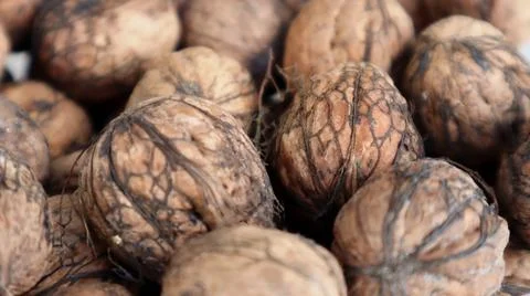 Close-up of walnuts in shell – natural texture and organic food concept Stock Photos