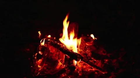Close-up Warm Campfire Burning in Forest Seamless Loop with Sound Stockbeeldmateriaal 344951107