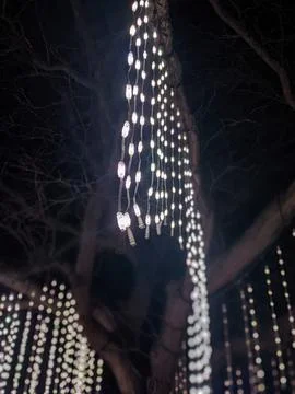 Close-up of Warm White LED String Lights Hanging from Trees in a Night Park Stock-Fotos