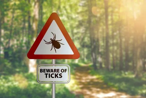 Close-up of warning sign with text BEWARE OF TICKS, against defocused forest Stock Photos