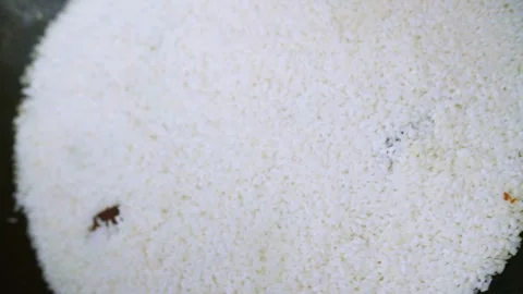 Close-up of washed rice in large cauldron for Uzbek pilaf over wood fire Stock Footage 346539783
