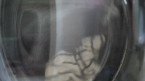 Close Up of Washing Machine in Action Stock Footage 45607293