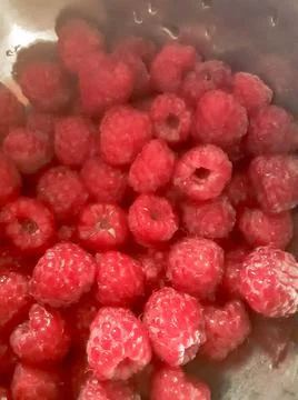 Close up wasted raspberry fresh and sweet. Stock Photos