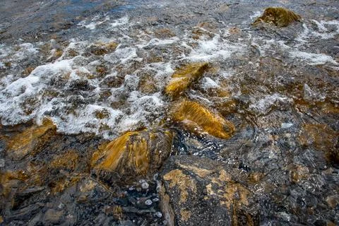 Close up water with algae on the beach concept photo. Stock Photos