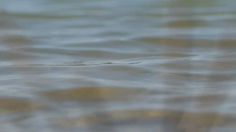 Close-up water background 4K Stock Footage 113198067