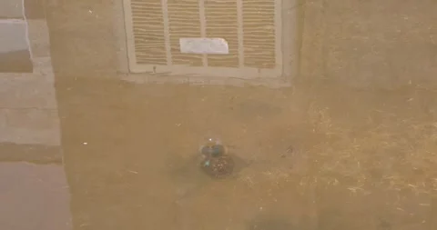 Close-up of a water bubble forming above a corroded drain on a dirty surface Stock Footage 317812141
