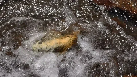 Close up water bubbles from a hot spring containing sulfur Stock Footage 292673845