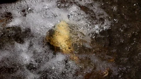 Close up water bubbles from a hot spring containing sulfur #1 Video stock 292673846