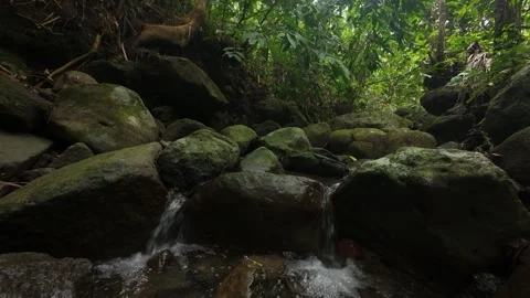Close-up of water cascading down mossy rocks. Vídeos de archivo 334626403