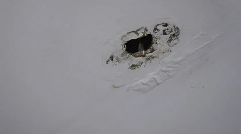 Close up water damaged ceiling and dropping Video stock 34261568