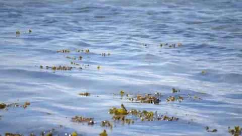 Close up - Water at danish beach, reflection of blue sky 스톡 동영상 149592153