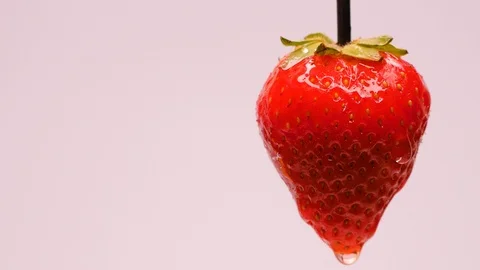 Close-up of water drip on strawberry. Stock Footage 101583301